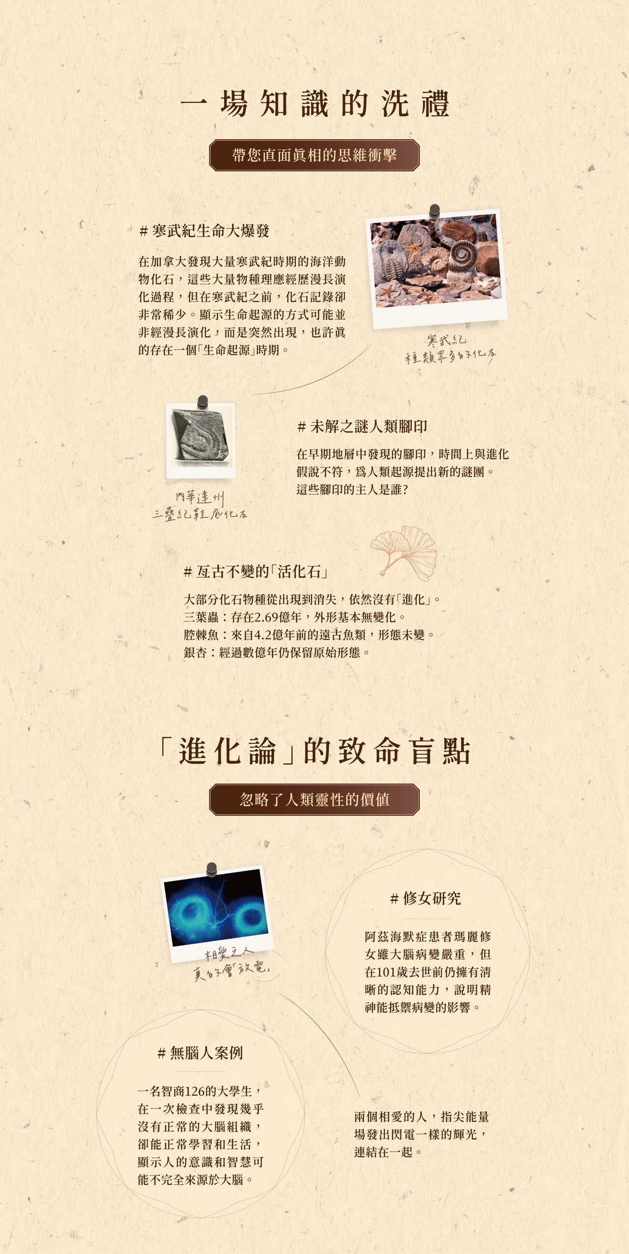 《透視進化論》（上下冊）